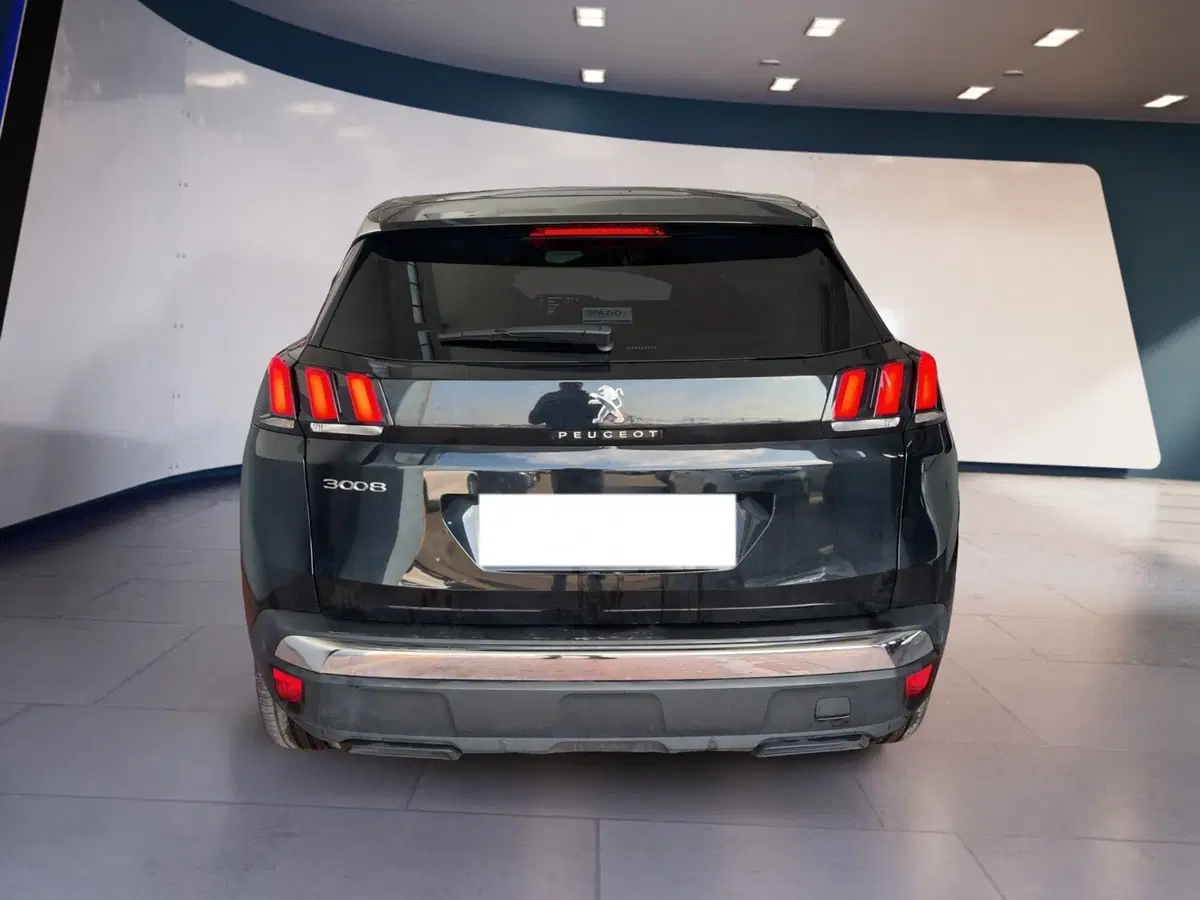 Peugeot 3008 usata a Torino (5)