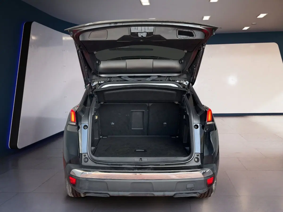 Peugeot 3008 usata a Torino (7)