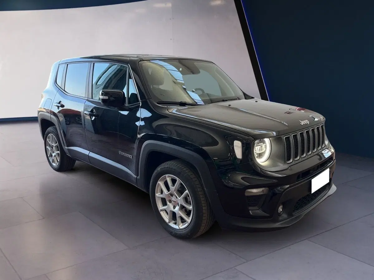 Jeep Renegade usata a Torino (2)