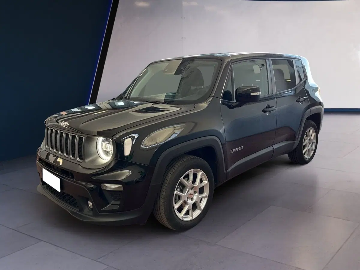 Jeep Renegade usata a Torino (3)