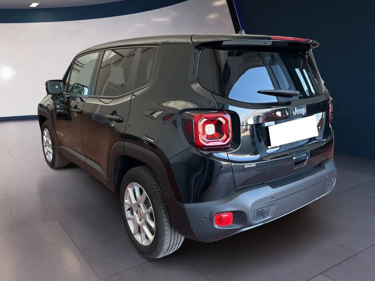 Jeep Renegade usata a Torino (4)