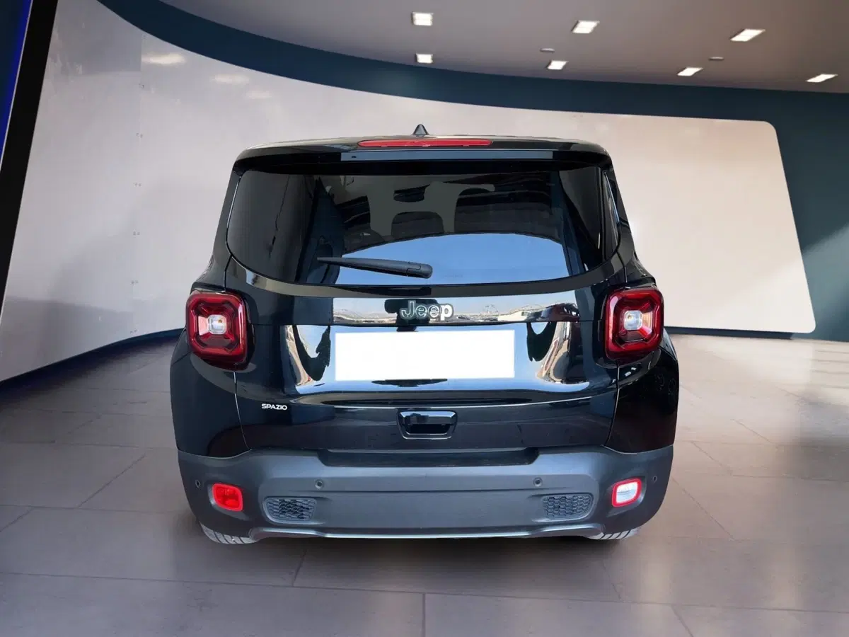 Jeep Renegade usata a Torino (5)