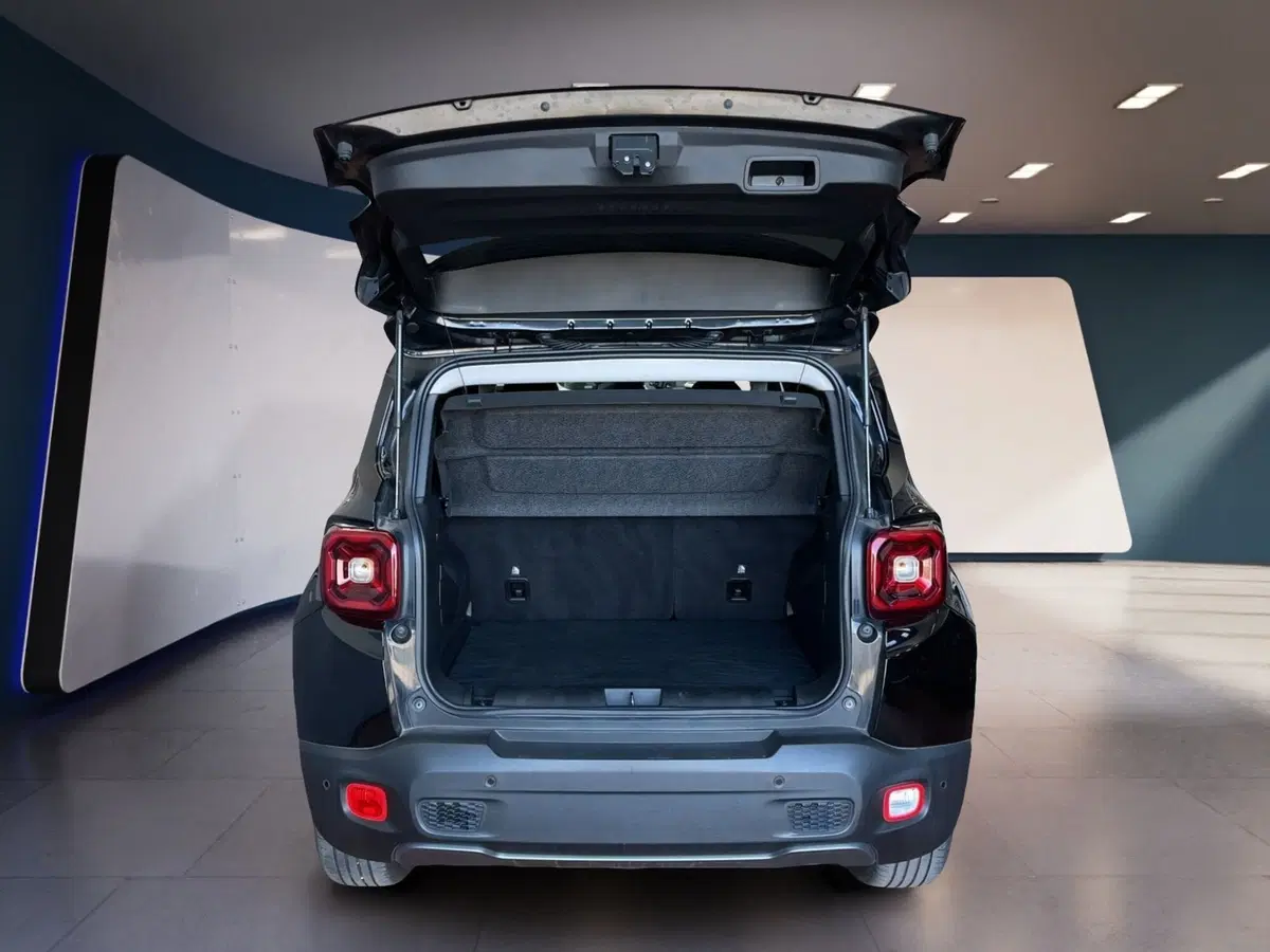 Jeep Renegade usata a Torino (8)