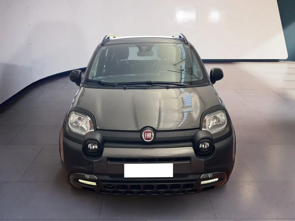 Fiat Panda usata a Torino