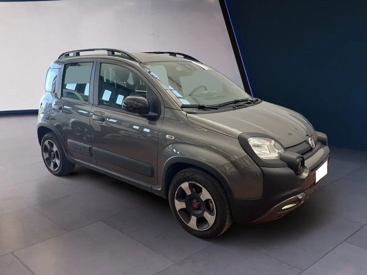 Fiat Panda usata a Torino (2)