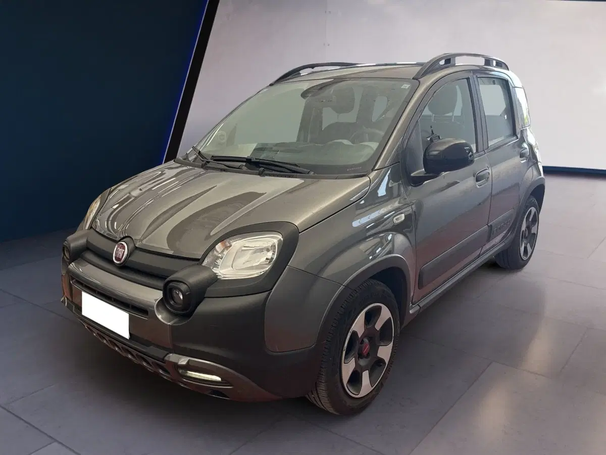 Fiat Panda usata a Torino (3)