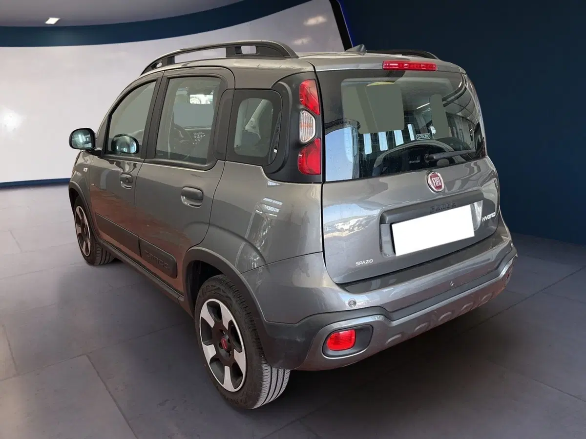Fiat Panda usata a Torino (4)