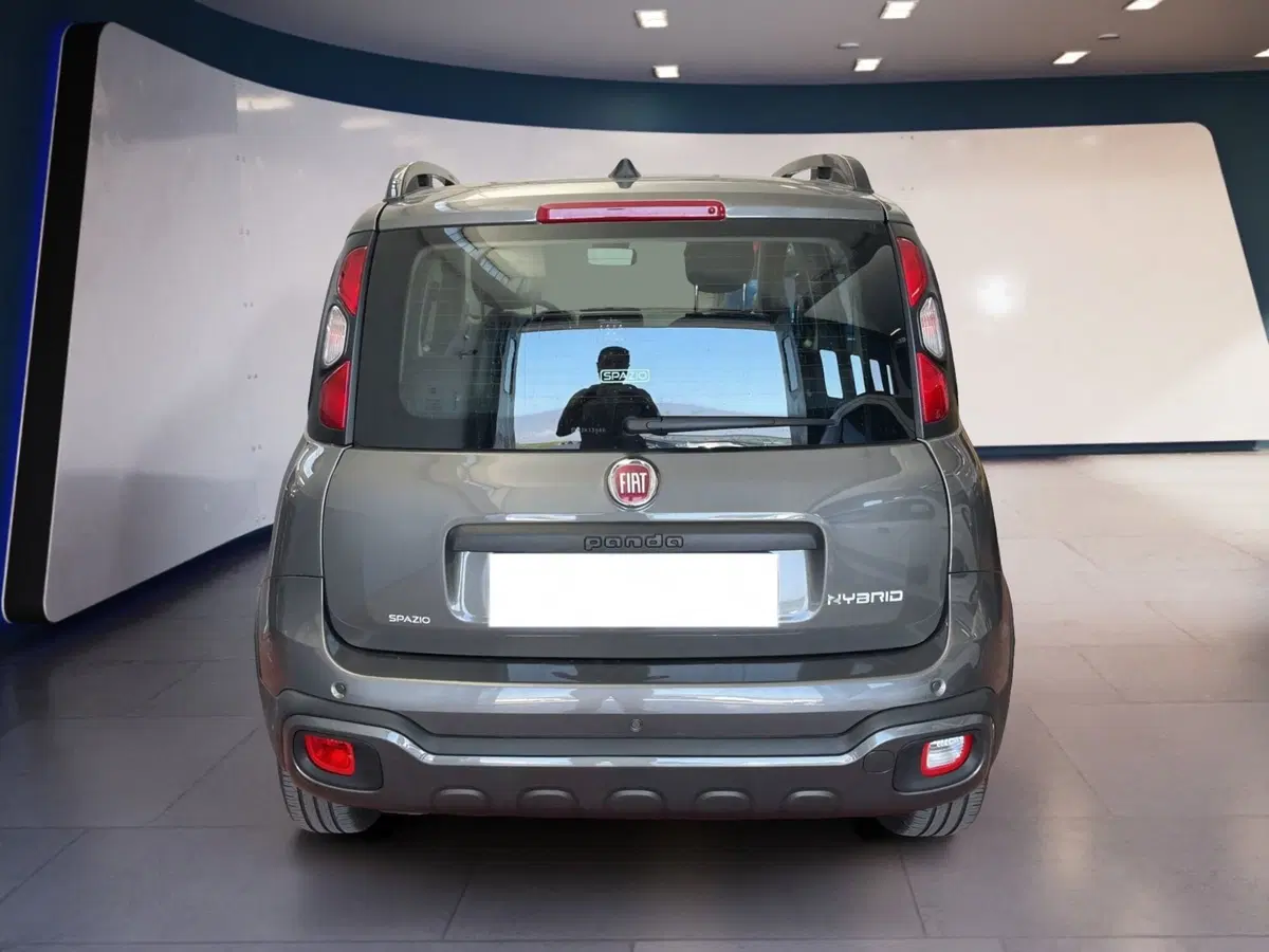 Fiat Panda usata a Torino (5)