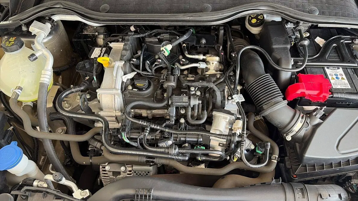Ford Fiesta usata a Viterbo (15)