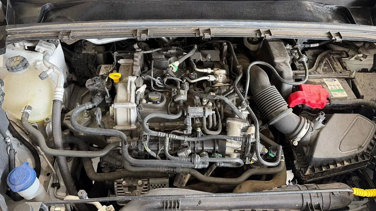 Ford Puma usata a Viterbo (15)