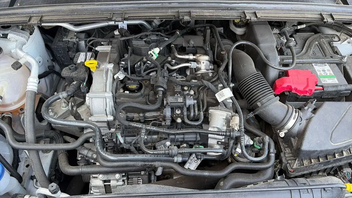 Ford Puma usata a Viterbo (15)