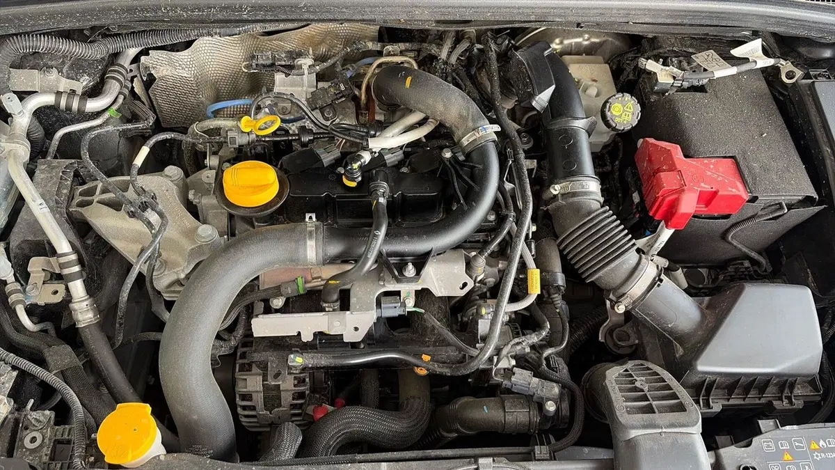 Renault Clio usata a Viterbo (15)
