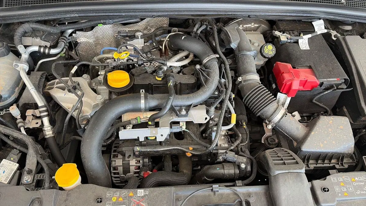 Renault Clio usata a Viterbo (13)