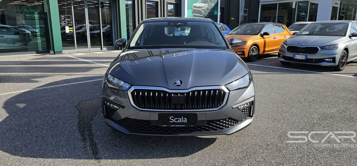 Skoda Scala nuova a Livorno (8)