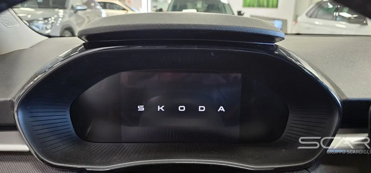 Skoda Fabia nuova a Livorno (13)