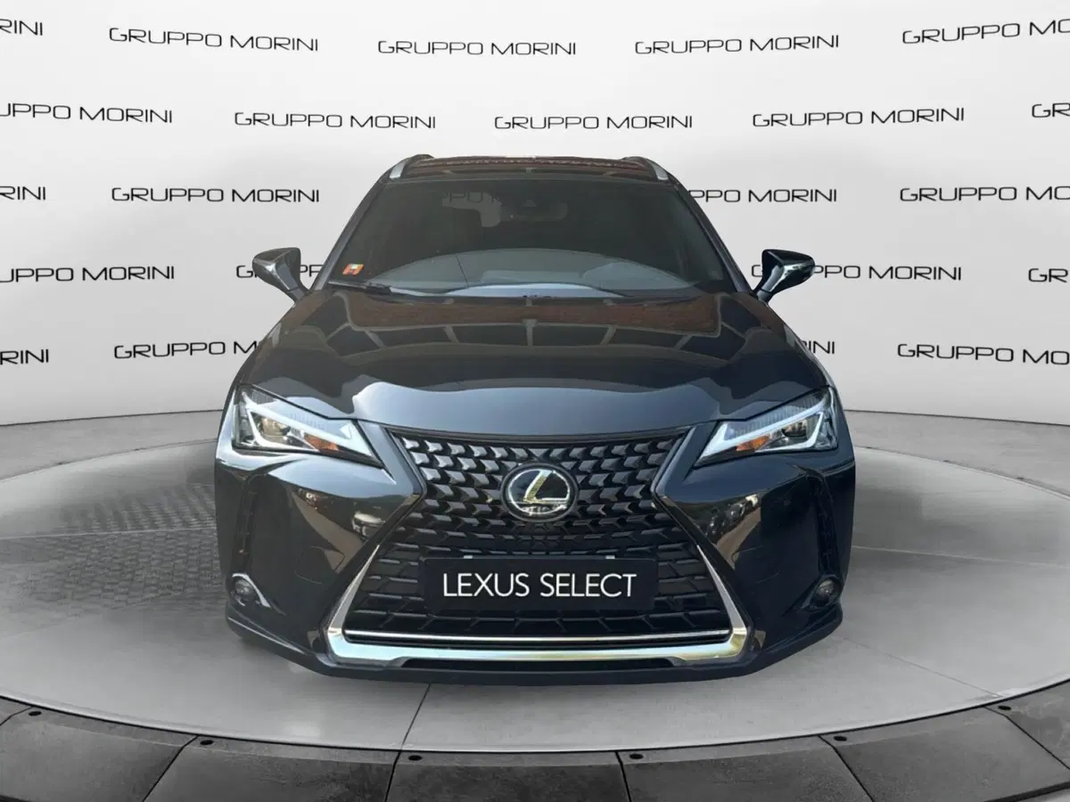 Lexus UX usata a Bologna