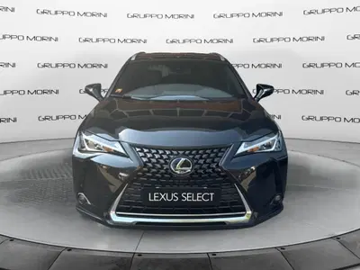Lexus UX Hybrid 4WD Executive del 2019 usata a San Lazzaro di Savena