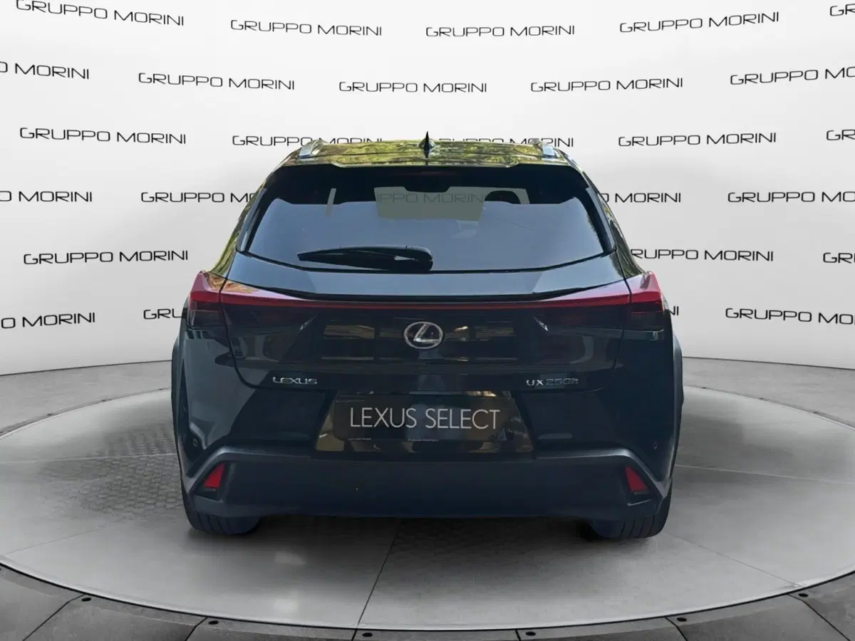 Lexus UX usata a Bologna (4)