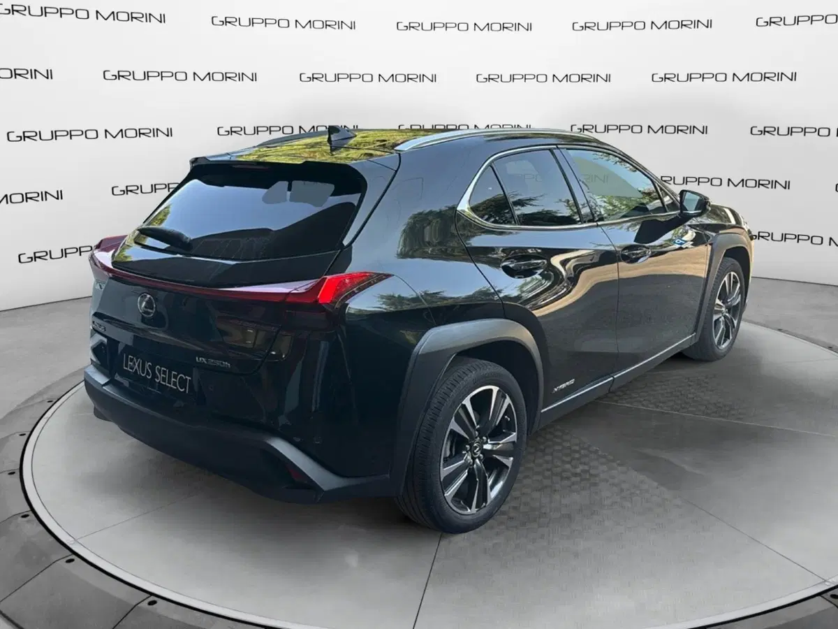 Lexus UX usata a Bologna (6)