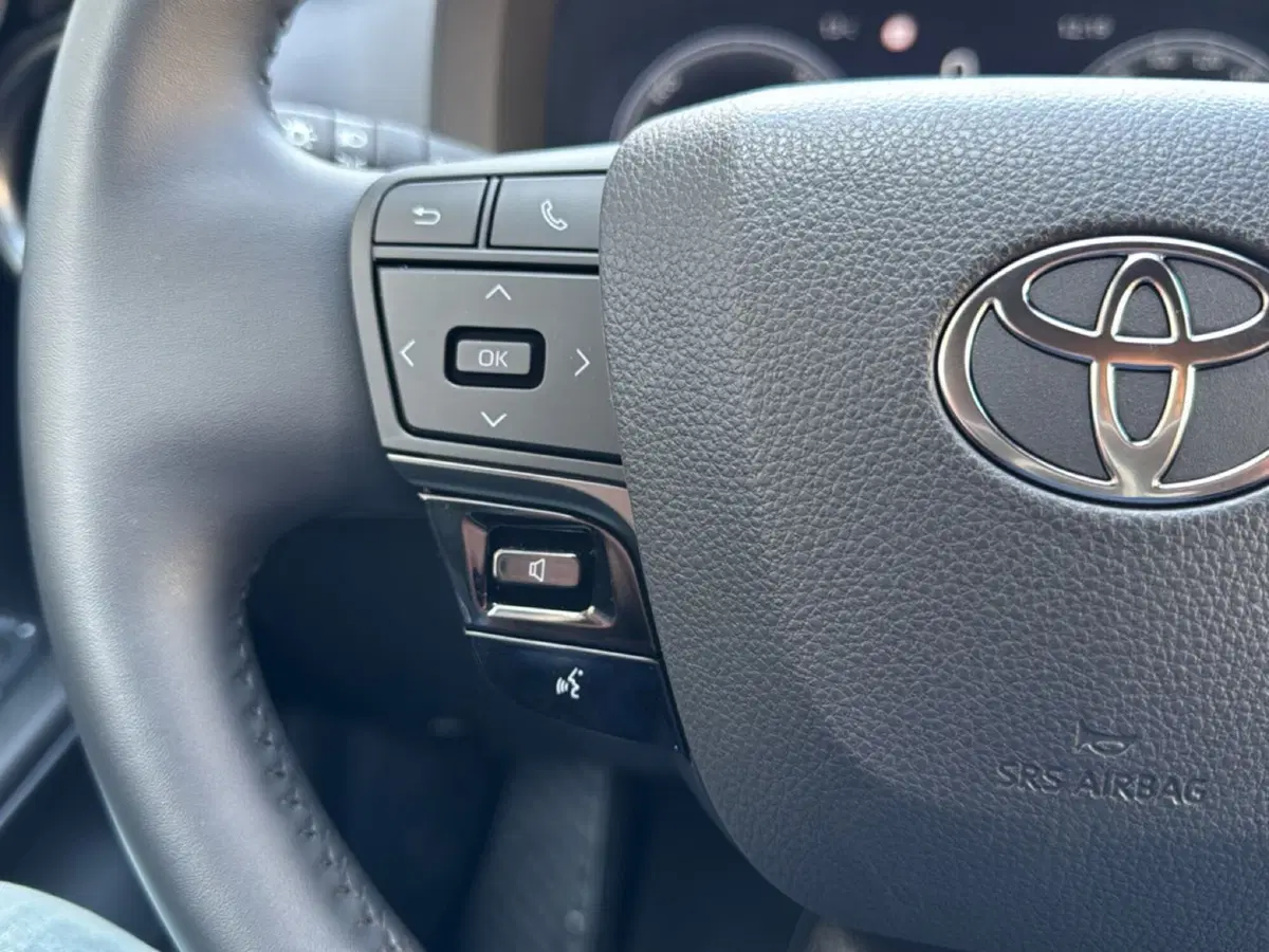 Toyota Toyota C-HR usata a Ferrara (15)