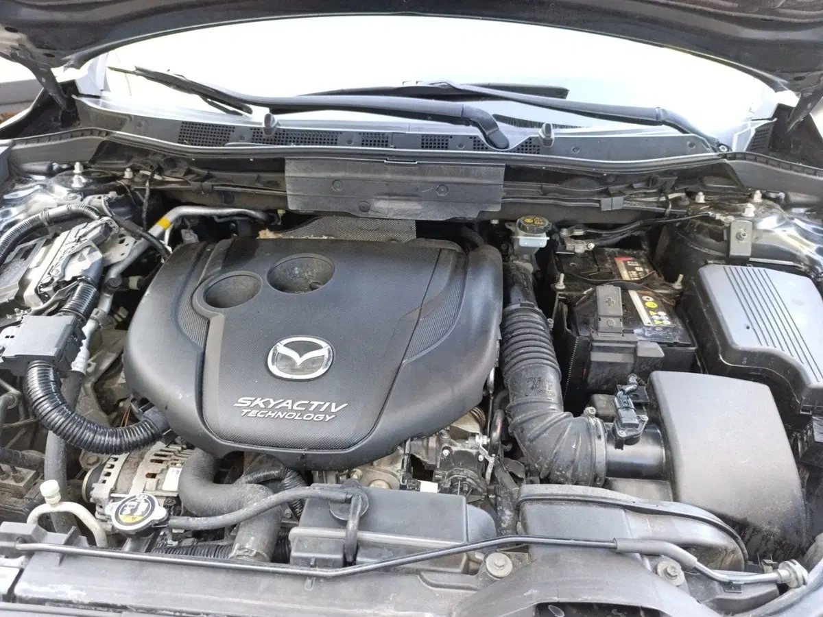 Mazda CX-5 usata a Ferrara (10)