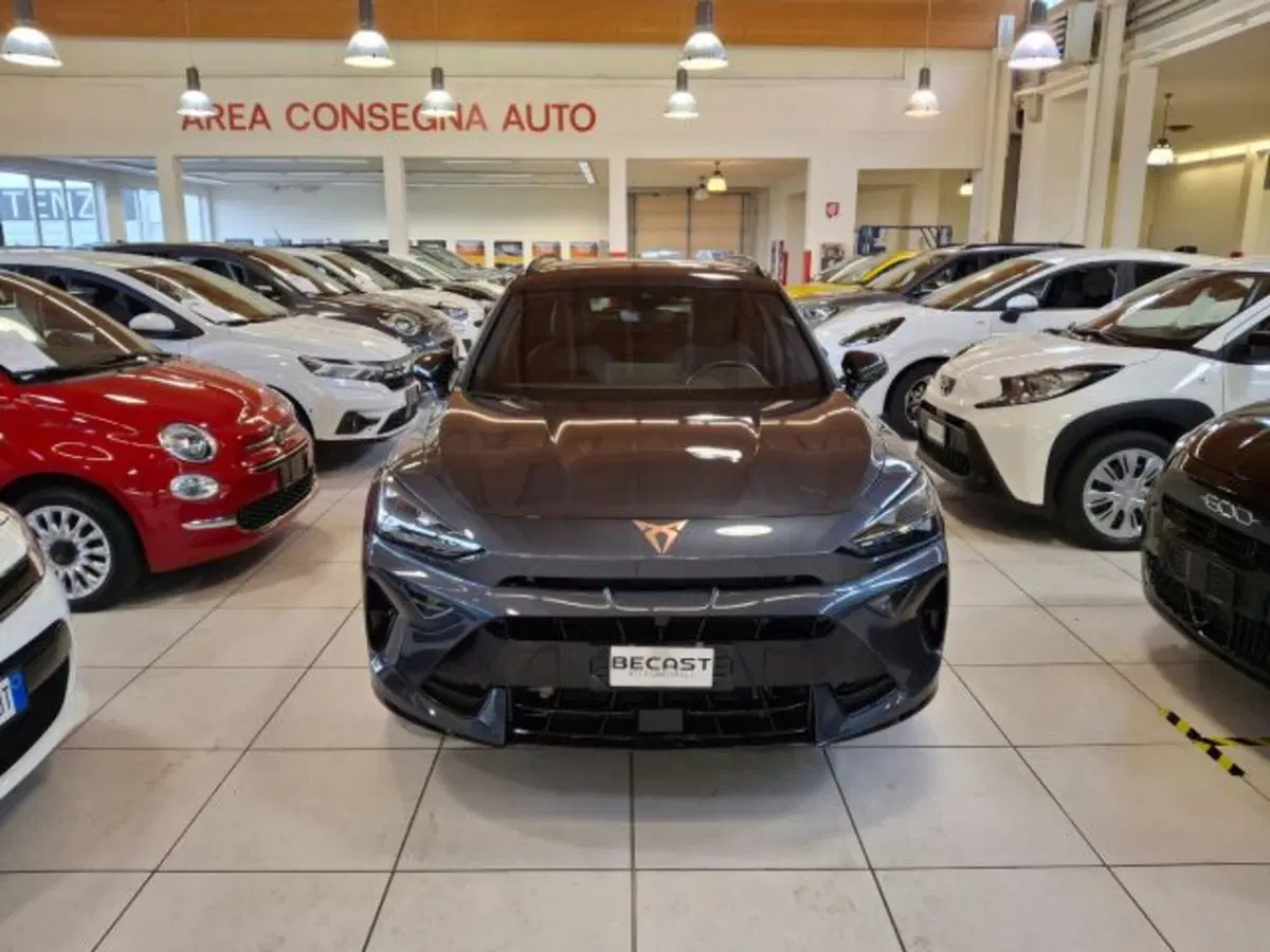 Cupra Formentor usata a Vicenza (2)