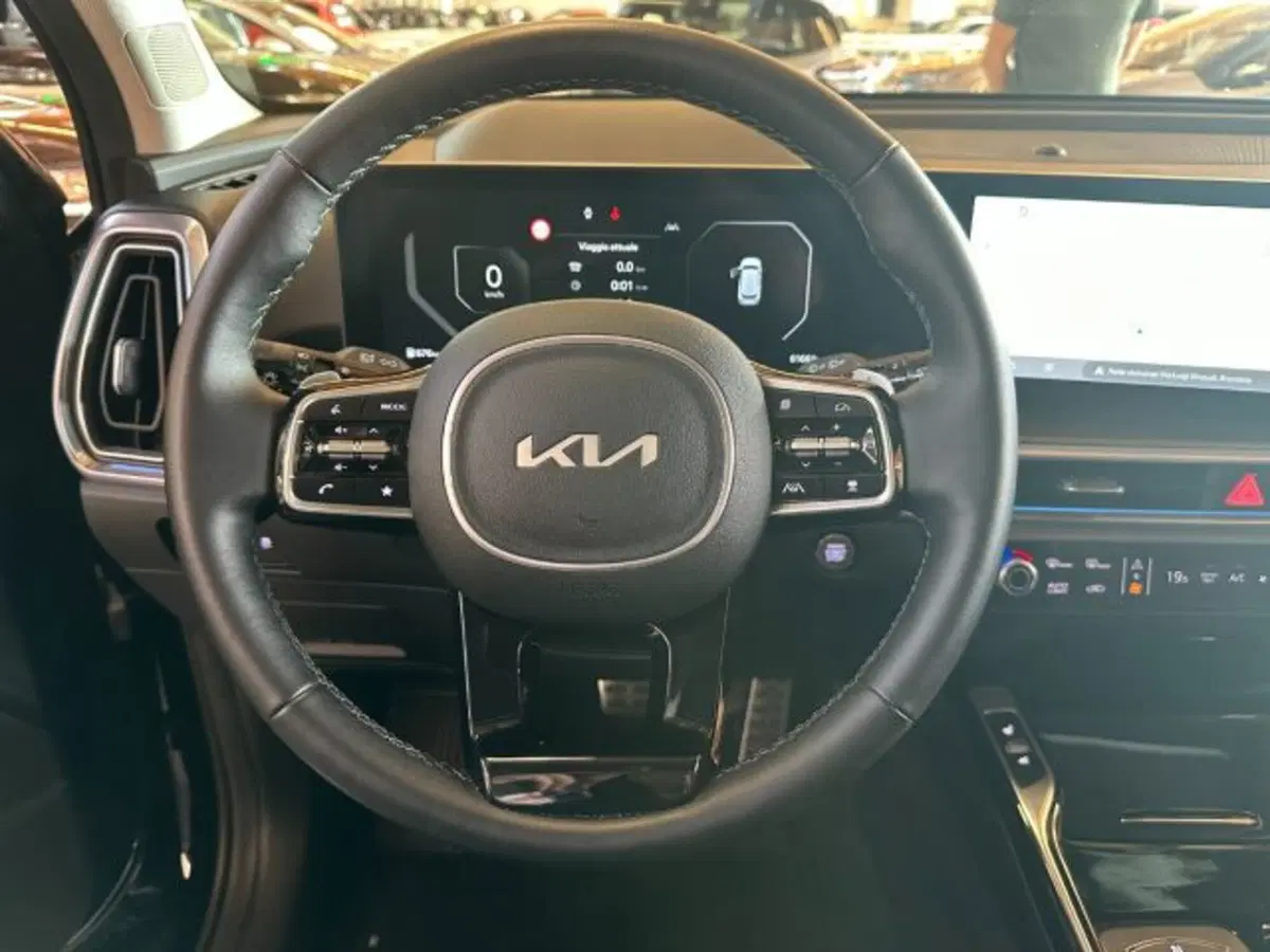 Kia Sorento usata a Vicenza (18)