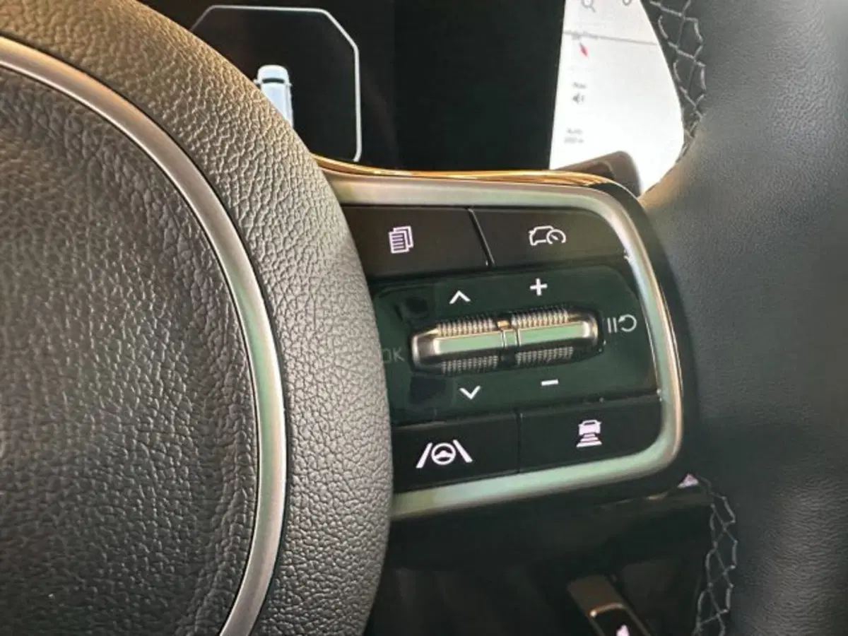 Kia Sorento usata a Vicenza (19)