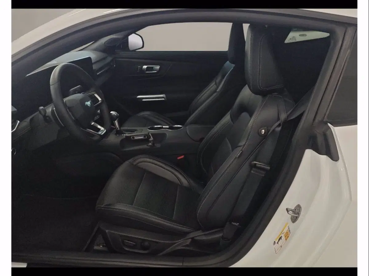 Ford Mustang Coupé usata a Catania (9)