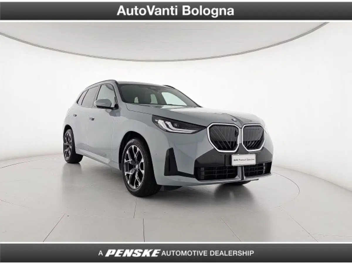 BMW X3 usata a Bologna (7)