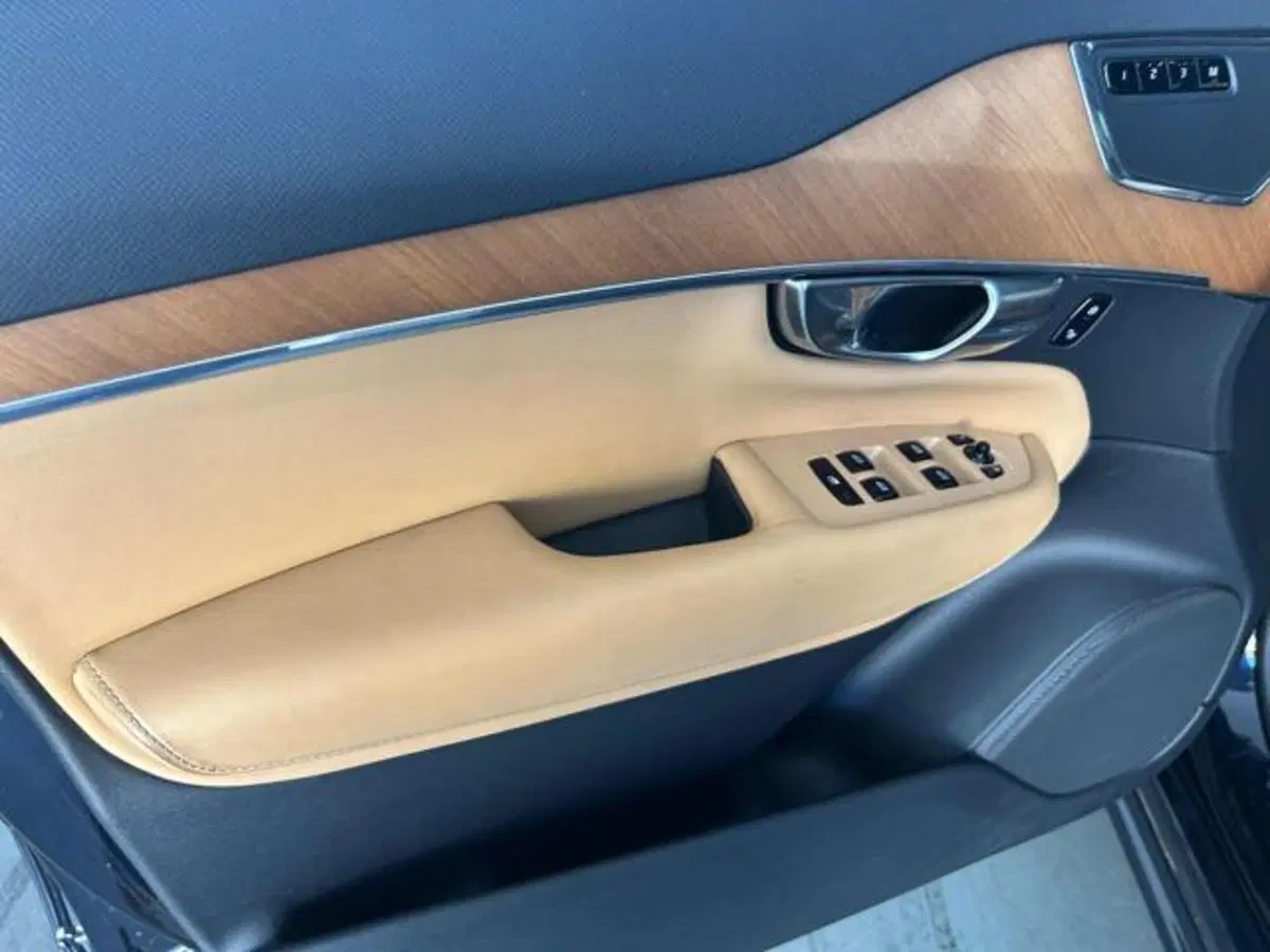 Volvo XC90 usata a Vercelli (12)