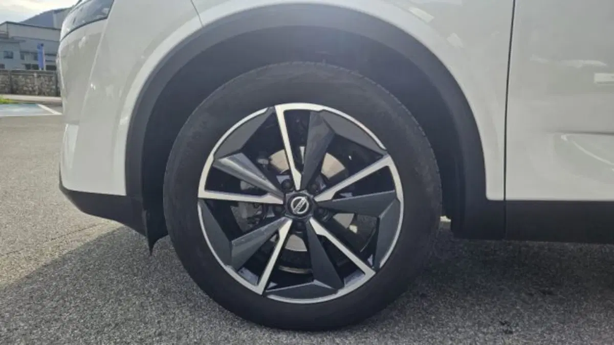 Nissan Qashqai usata a Lucca (18)