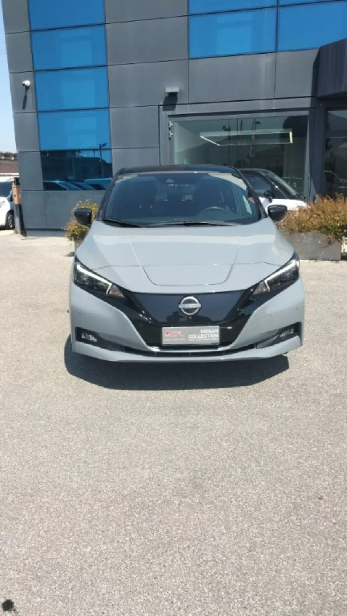 Nissan Leaf usata a Lucca (6)