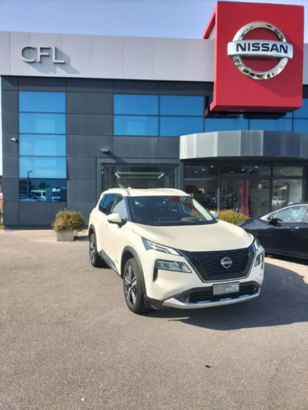 Nissan X-Trail usata a Lucca