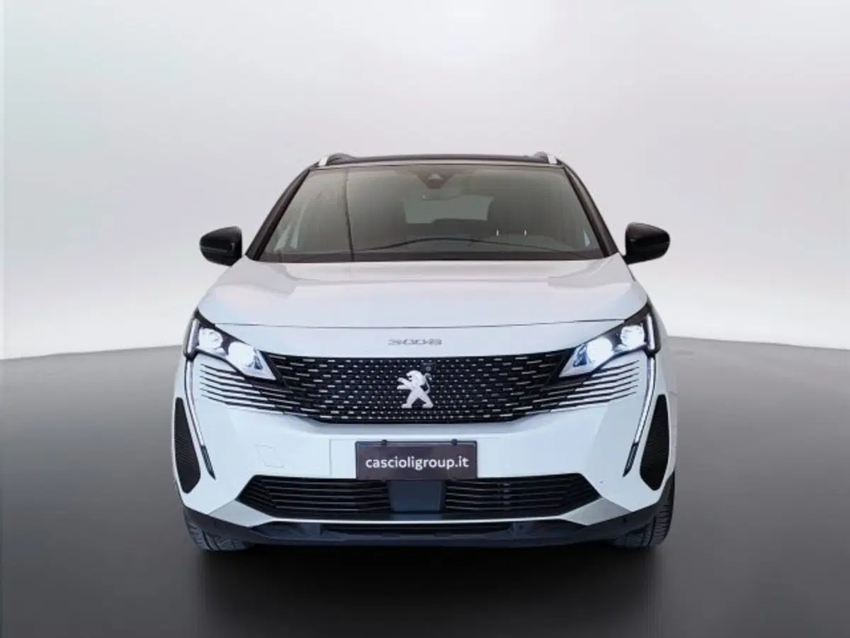 Peugeot 3008 usata a Teramo (2)