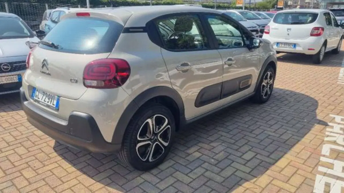 Citroen C3 usata a Savona (17)