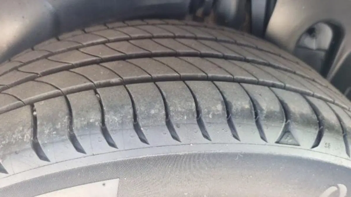 Citroen C3 usata a Savona (19)