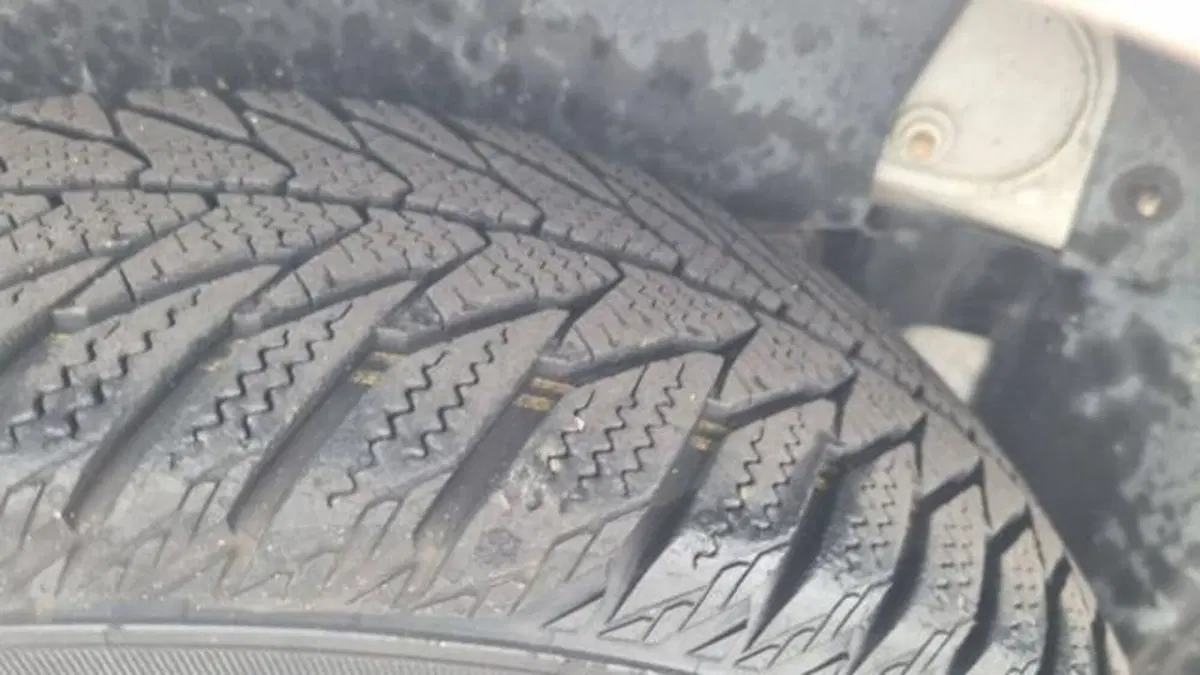 Fiat 500 usata a Savona (15)