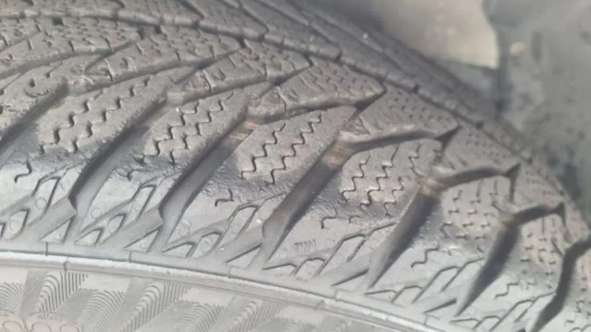 Fiat 500 usata a Savona (8)