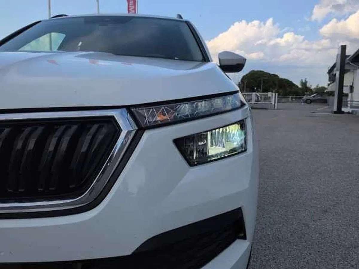 Skoda Kamiq usata a Treviso (16)