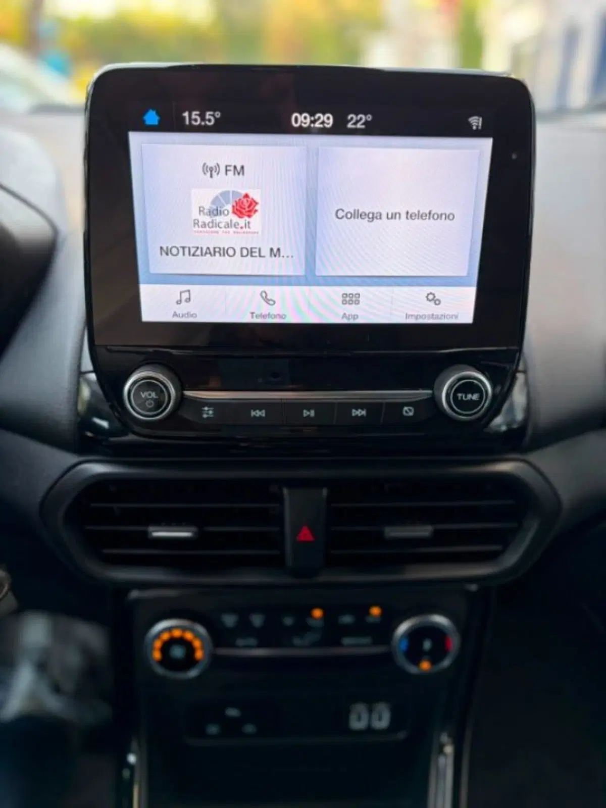 Ford EcoSport usata a Lodi (10)