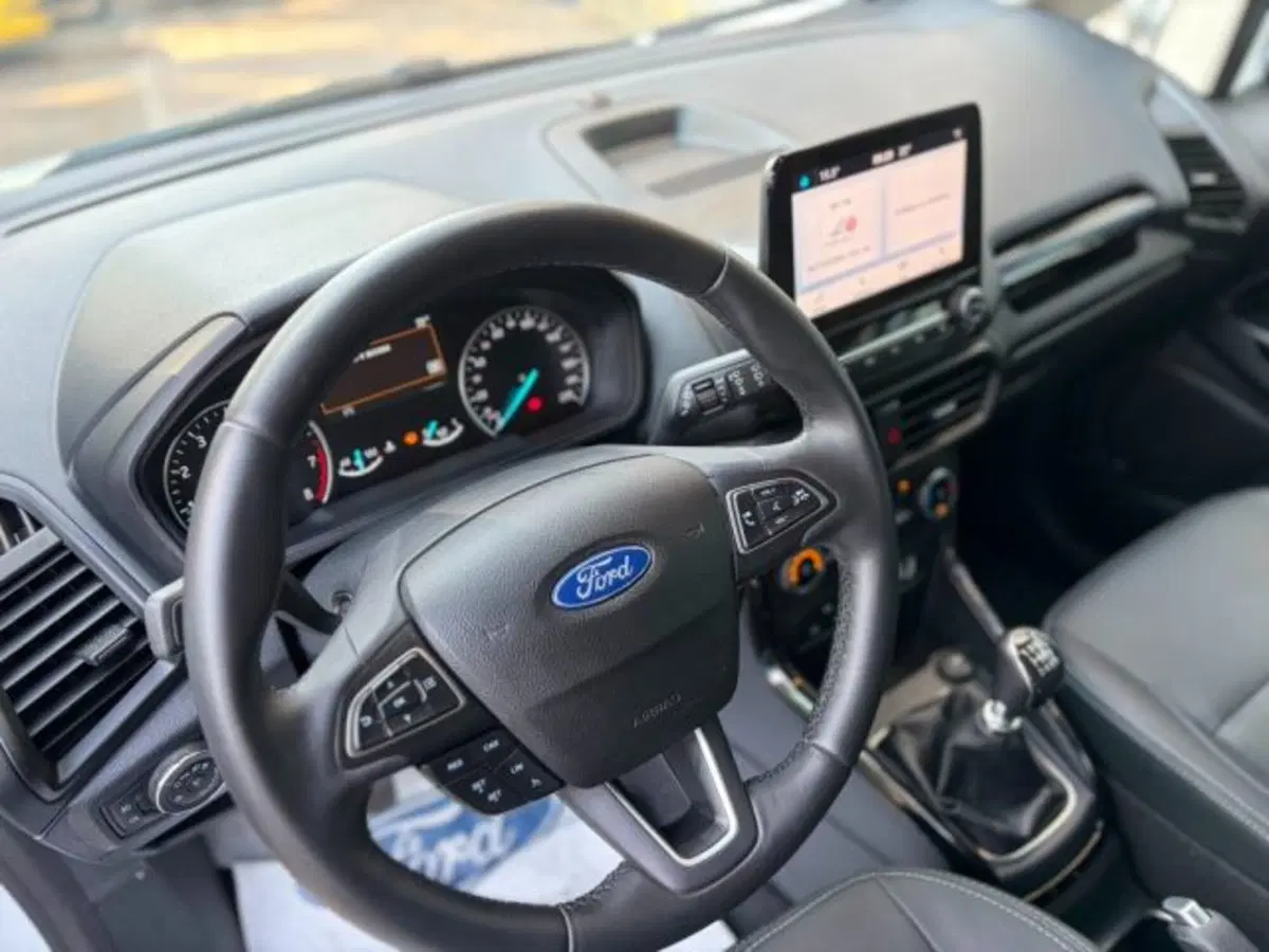 Ford EcoSport usata a Lodi (7)