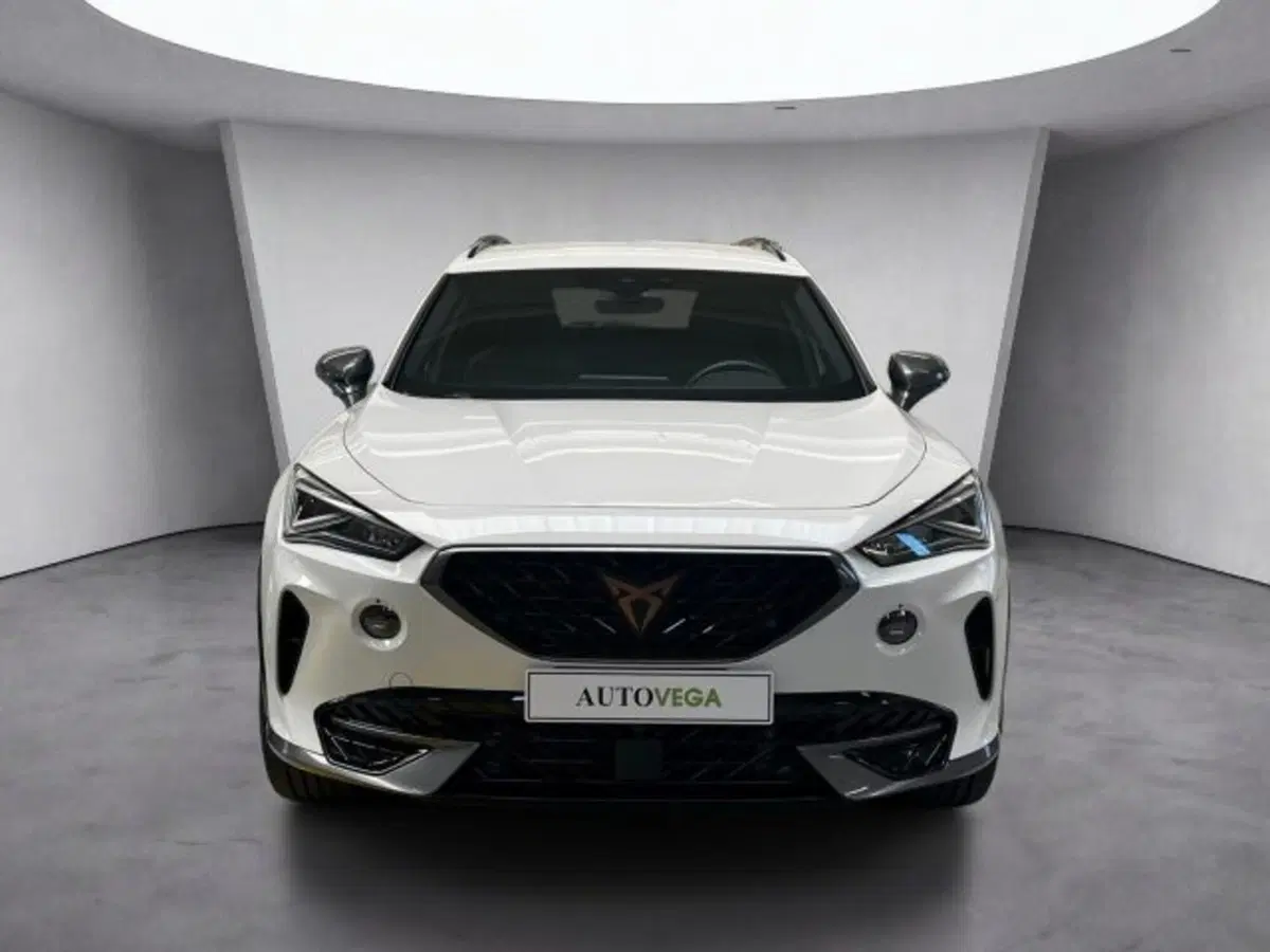 Cupra Formentor usata a Vicenza (2)