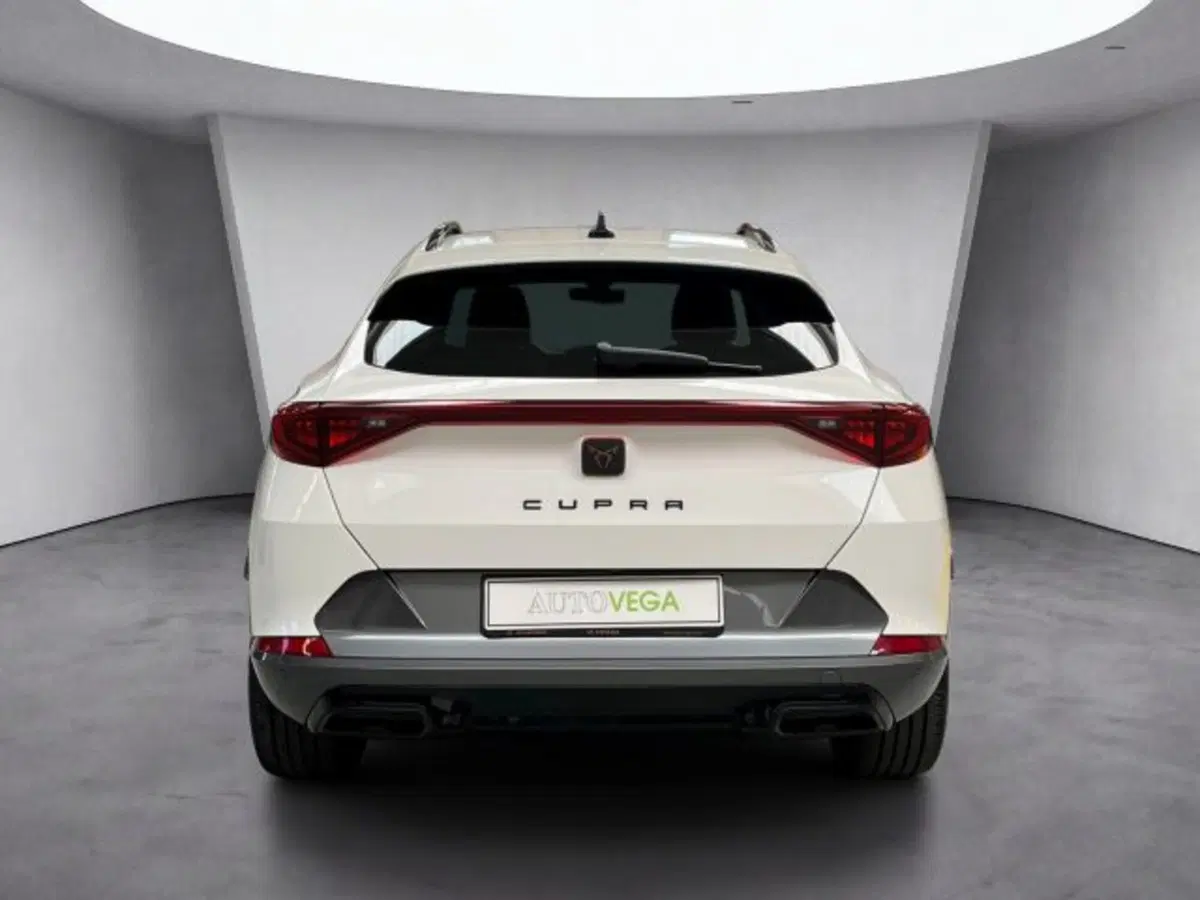 Cupra Formentor usata a Vicenza (5)
