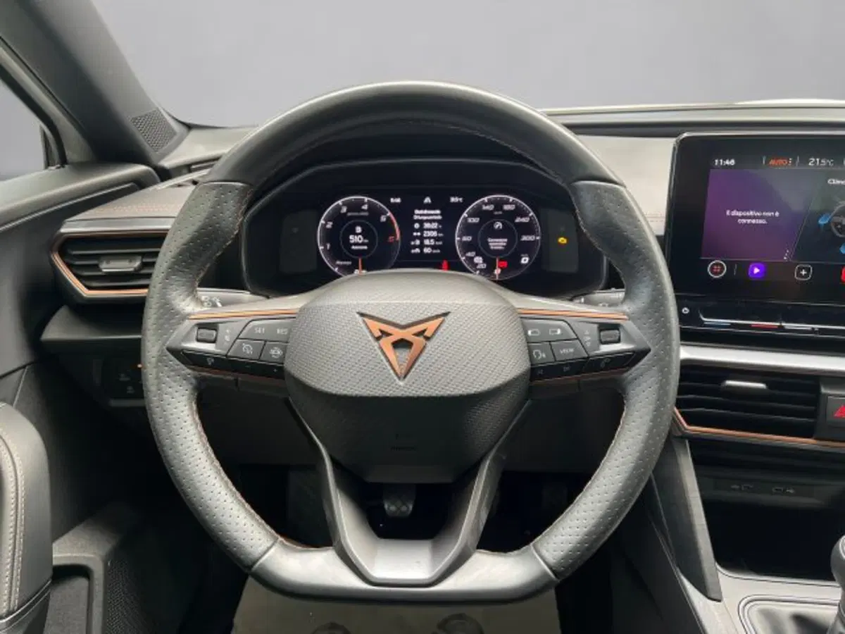 Cupra Formentor usata a Vicenza (9)