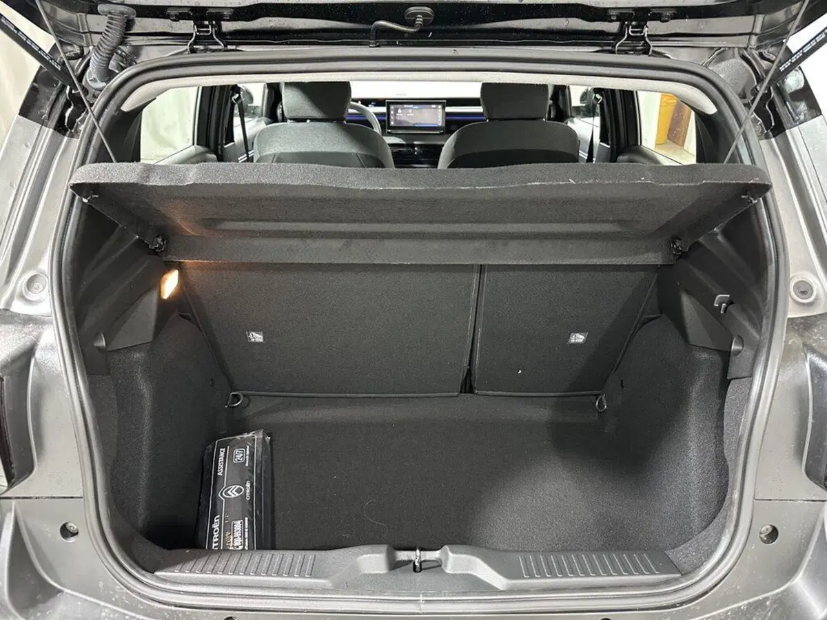 Citroen C3 usata a Sondrio (15)