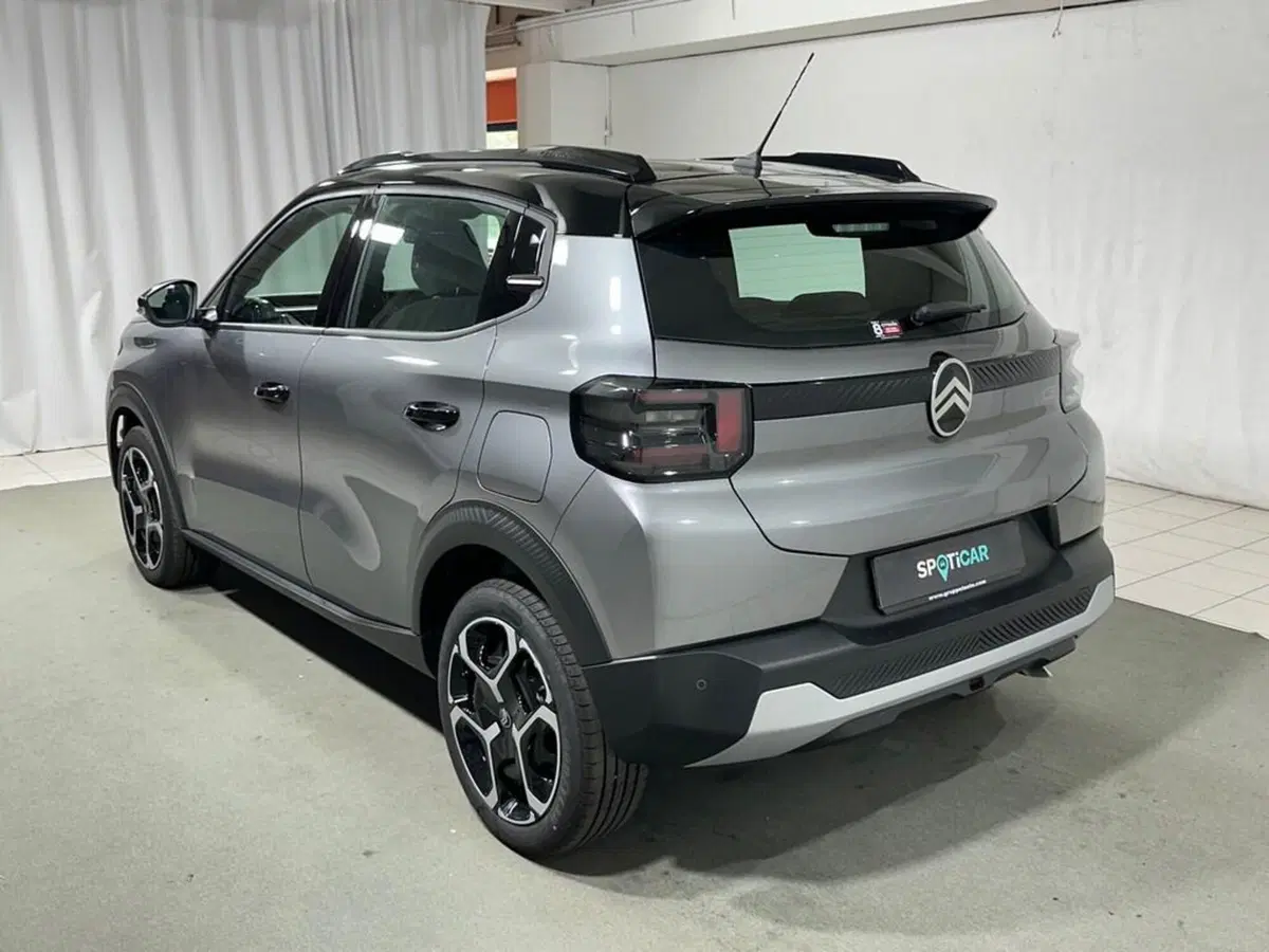 Citroen C3 usata a Sondrio (3)