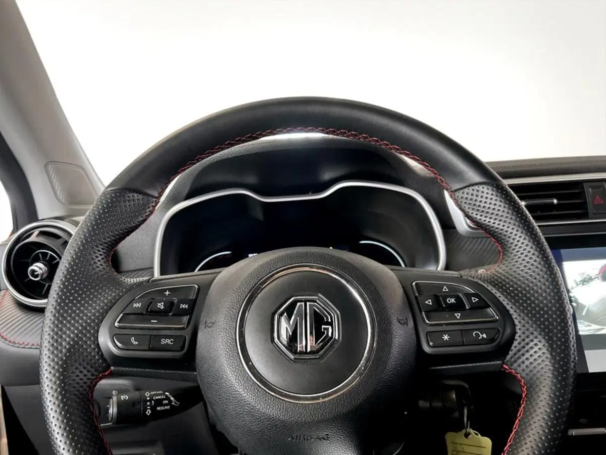 Mg ZS usata a Piacenza (12)