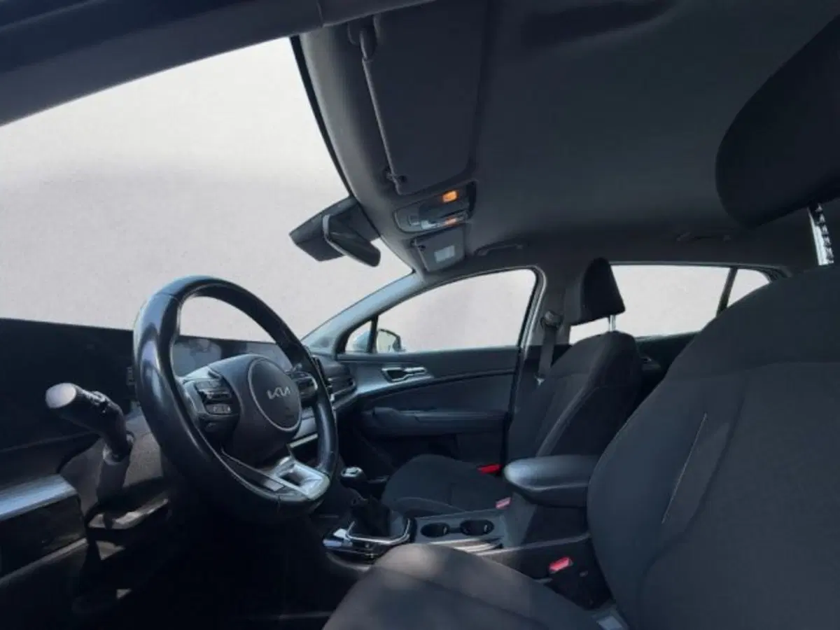 Kia Sportage usata a Udine (8)