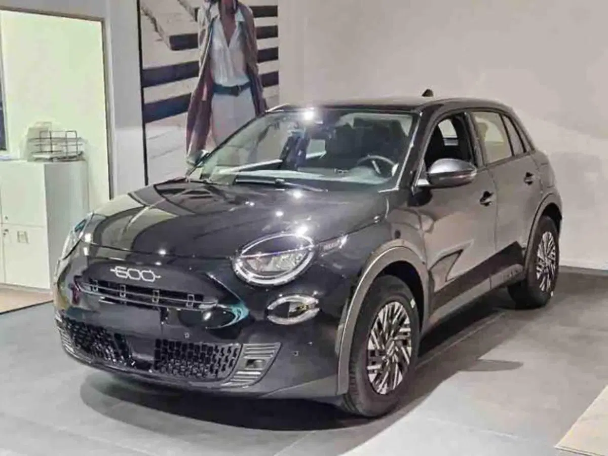 Fiat 600 nuova a Torino